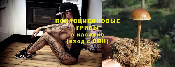 прущие грибы Балабаново