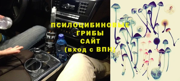 прущие грибы Балабаново