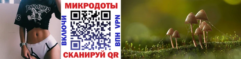 Купить Южно-Сухокумск Псилоцибиновые грибы Cubensis
